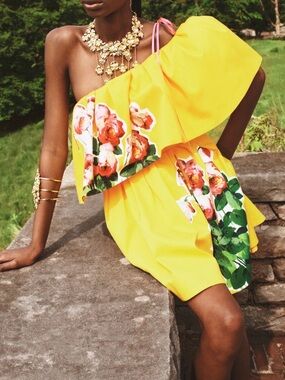 Carolina Herrera Floral-Print Off-The-Shoulder Ruffle Mini Dress